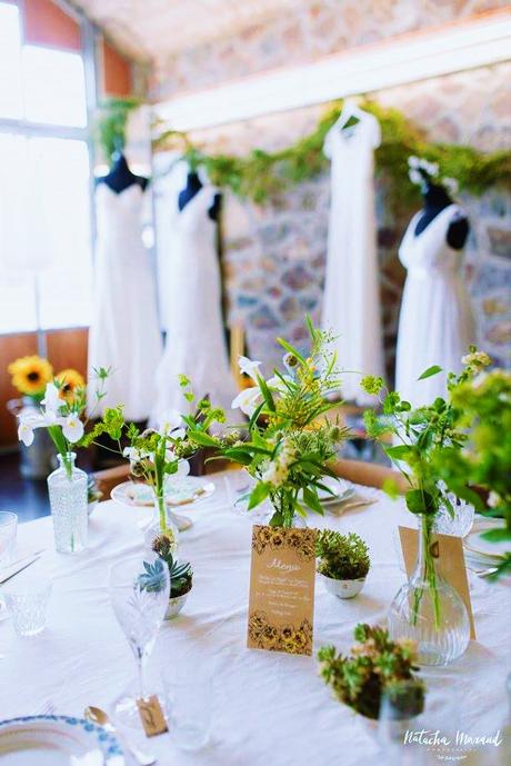 Le petit monde de « Tiana RKV » ! 12091419_1208808135801023_8239679587253450590_o