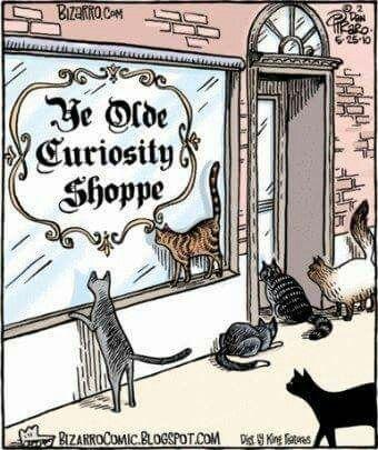 Trop curieuse ! Trop curieuse !