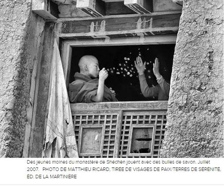 Matthieu Ricard... en images et en livre Matthieu Ricard... en images et en livre