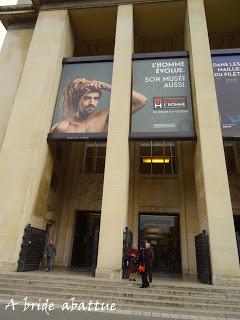 Réouverture du Musée de l'Homme Réouverture du Musée de l'Homme