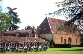 Razzia sur la schnouf ... foie gras ! sans-titre