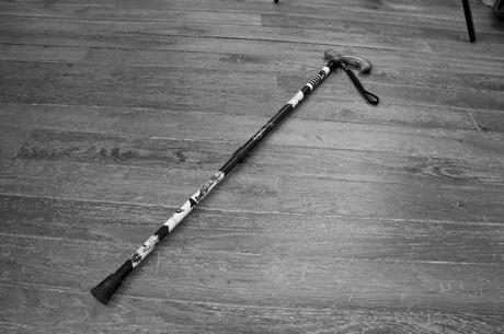 MDPH – GAGNÉ canne Mel