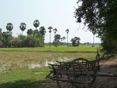 TEMPLES D’ANGKOR INCONNU Mechrey 19