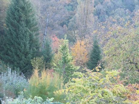 Divers - Les couleurs de l'automne Divers - Les couleurs de l'automne