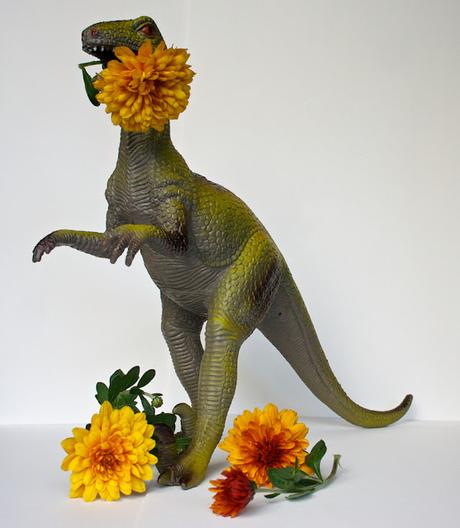 FLOWER POWER -ÉDITION SPÉCIALE : La Fleur aux dents #fleurauxdents FLOWER POWER -ÉDITION SPÉCIALE : La Fleur aux dents #fleurauxdents