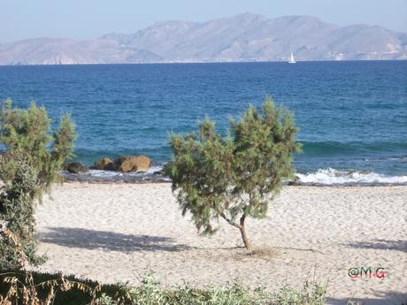 L'Ile "village vacances Achilléas