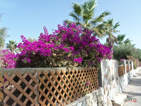 L'Ile "village vacances Achilléas