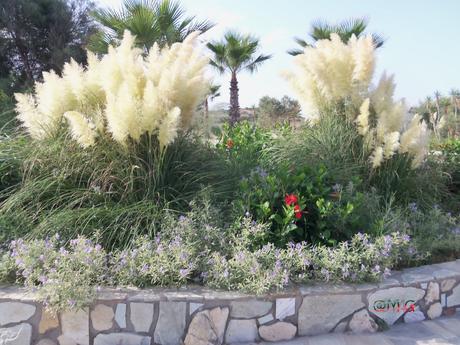 L'Ile "village vacances Achilléas