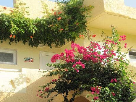 L'Ile "village vacances Achilléas