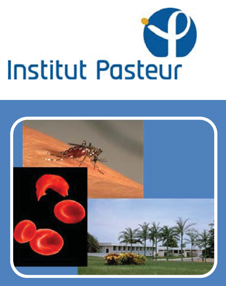 La réponse au traitement contre le paludisme chez les drépanocytaires : que doit‐on adapter ? Institut Pasteur