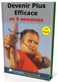 Comment rentabiliser son site internet : Les Ads Blockers vont ils tuer les Blogs et sites d’Actualités ? ebook-devenirplusefficace