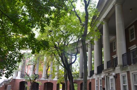 Nashville, Tennessee – THE “Music City” : les choses à faire et à voir vanderbilt5