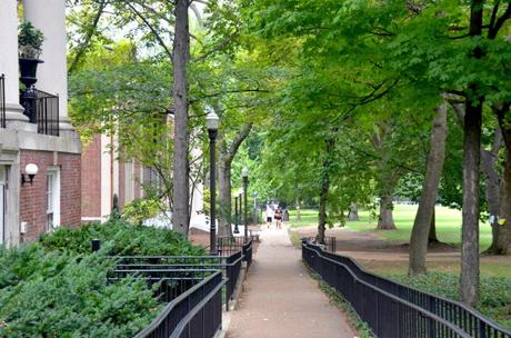 Nashville, Tennessee – THE “Music City” : les choses à faire et à voir vanderbilt3