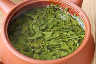 Shizuoka 2015 : Tenryû Shizuoka 2015 : Tenryû