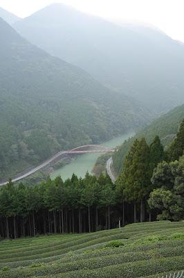 Shizuoka 2015 : Tenryû Shizuoka 2015 : Tenryû