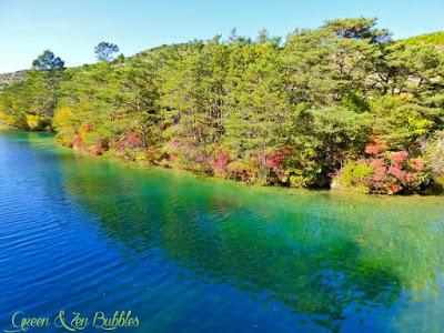 Le Lac Sauvage Le Lac Sauvage
