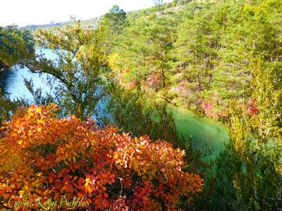 Le Lac Sauvage Le Lac Sauvage