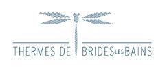 Journée mondiale du DIABÈTE: Conseils, pistes de traitement et surveillance – Thermes Brides-les-Bains Journée mondiale du DIABÈTE: Conseils, pistes de traitement et surveillance – Thermes Brides-les-Bains
