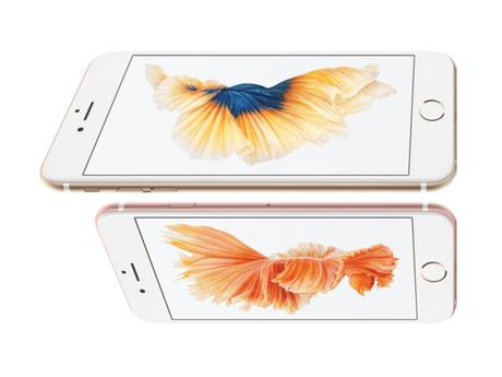 Qui sont ces poissons dans les iPhone 6S ?