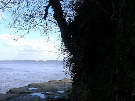 numéro au bord de l'eau numéro au bord de l'eau