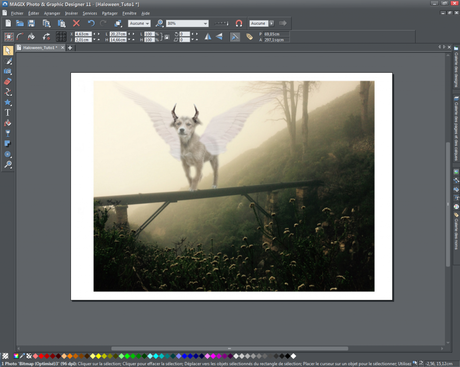 Des photos fantomatiques pour votre page Facebook ! Des photos fantomatiques pour votre page Facebook !