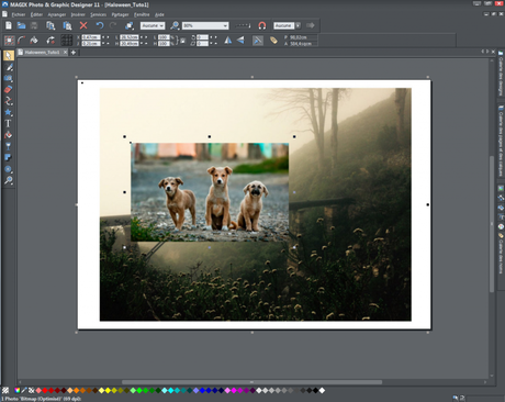 Des photos fantomatiques pour votre page Facebook ! Des photos fantomatiques pour votre page Facebook !