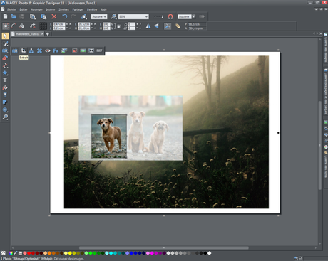 Des photos fantomatiques pour votre page Facebook ! Des photos fantomatiques pour votre page Facebook !