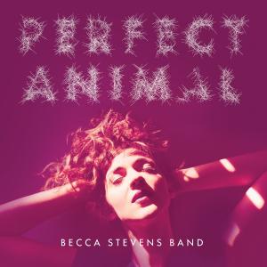 becca-stevens-band-perfect-animal