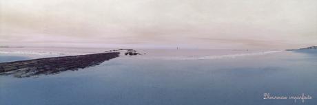 Balade au bord de la mer du Nord Balade au bord de la mer du Nord