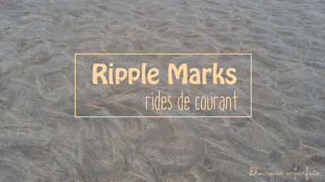 Balade au bord de la mer du Nord Balade au bord de la mer du Nord