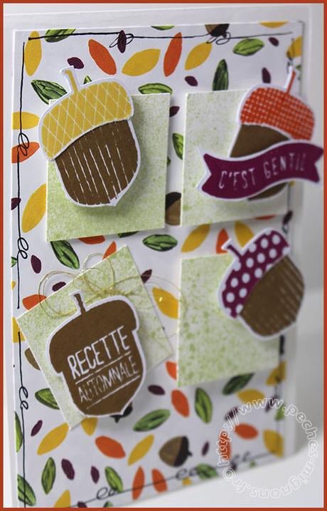 Les noisettes… (Carte scrap #406) IMG_28321