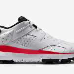 SHOES : Les Air Jordan 6 (Golf)