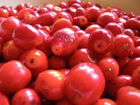 Confiture d' églantines Confiture d' églantines