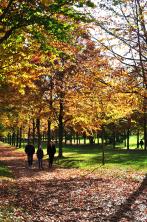 DSC_1272 Idée de sortie : Une balade dans les jardins du Château de Versailles