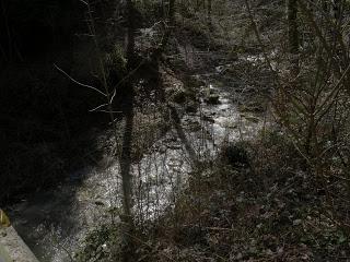 Rivière l'Aubonne depuis l'Arboretum du Vallon de l'Aubonne