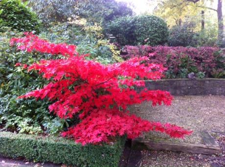 Semaine des prix littéraires photo.JPG