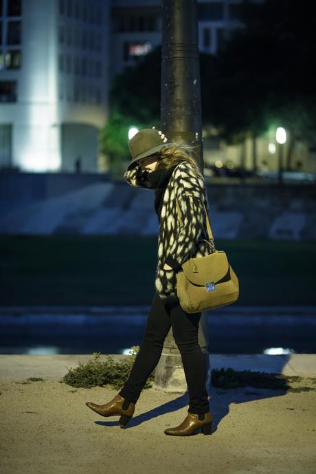 Color of night _H5B7730