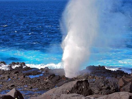 Les Galapagos - 1 Les Galapagos - 1