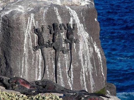 Les Galapagos - 1 Les Galapagos - 1