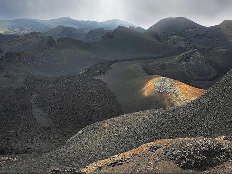 Les Galapagos - 1 Les Galapagos - 1