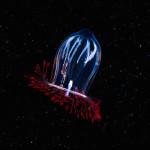 PHOTOGRAPHIE : Créatures de fonds marins PHOTOGRAPHIE : Créatures de fonds marins