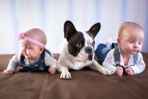 ASTHME: Un animal de compagnie réduit le risque de l'enfant, mais à certaines conditions – JAMA Pediatrics
