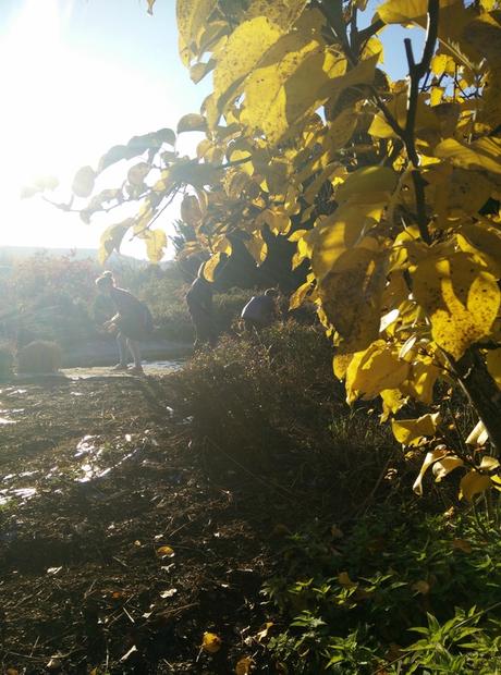 C'était chouette Halloween! IMG_20151025_164438