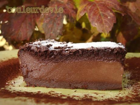 Gâteau magique version vanille et version chocolat Gâteau magique version vanille et version chocolat