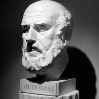 Sa majesté des cheveux Hippocrat's Bust