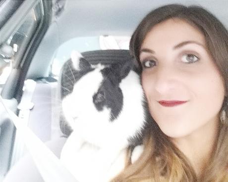 Lapin sur épaule, complicité Avantage d'avoir un lapin