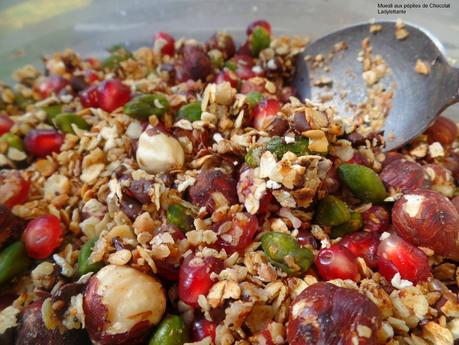 Muesli Maison aux pépites de Chocolat SAM_0376