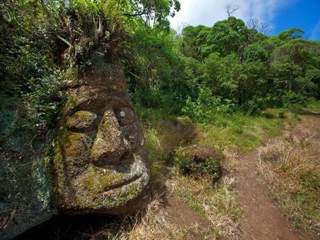 Les Galapagos - 2 Les Galapagos - 2