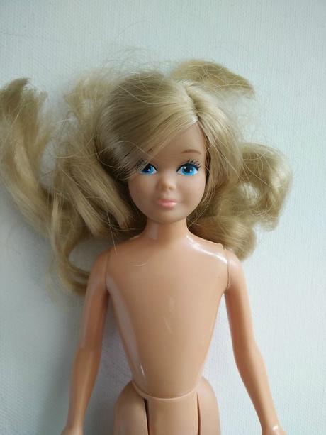 Vide-grenier du jour - Dimanche 8/11/2015 IMG_20151108_142550