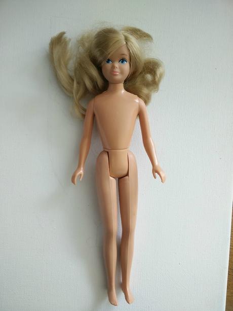 Vide-grenier du jour - Dimanche 8/11/2015 IMG_20151108_142555